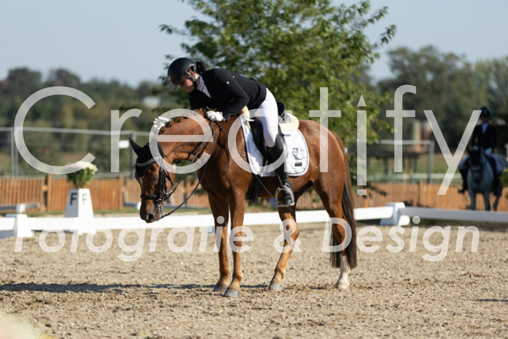 IMG_0714 | Creatify Fotografie