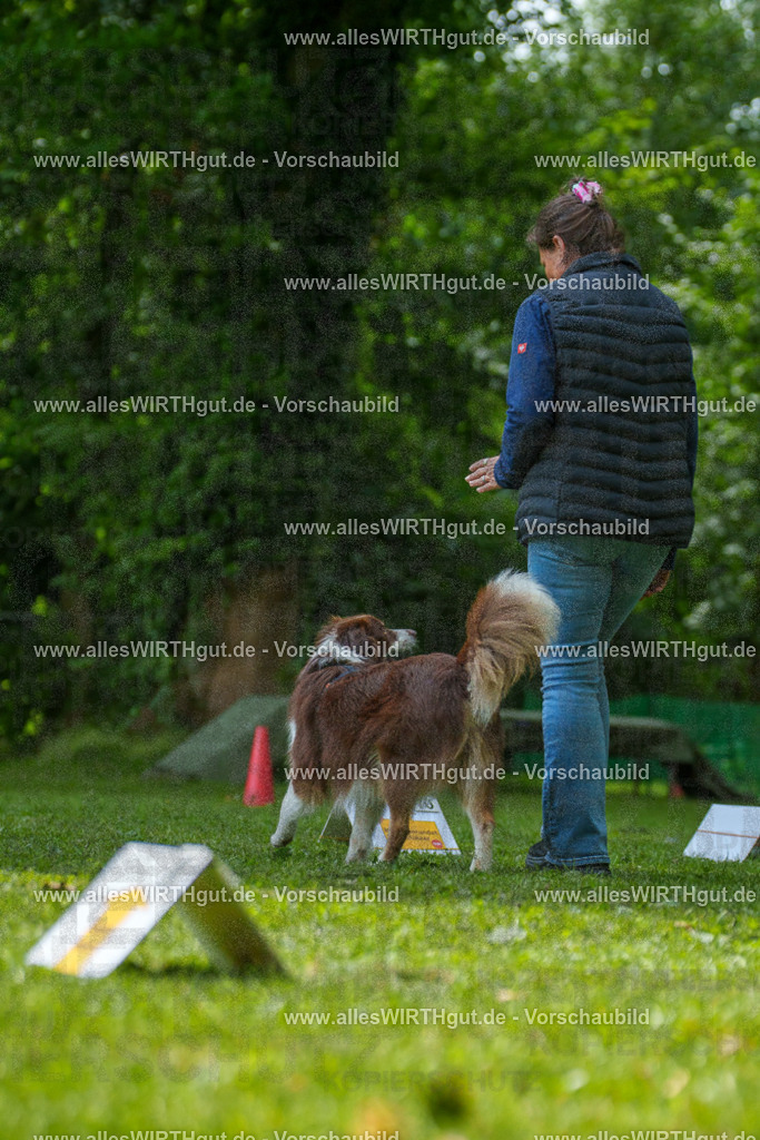 @allesWIRTHgut_Tierfotografie - www.allesWIRTHgut.de - 7R505446 | Professionelle Tierfotografie in Mönchengladbach von Daniel Wirth (allesWIRTHgut). Liebevolle & natürliche Bilder von Hunden & Katzen für unvergessliche Erinnerungen.