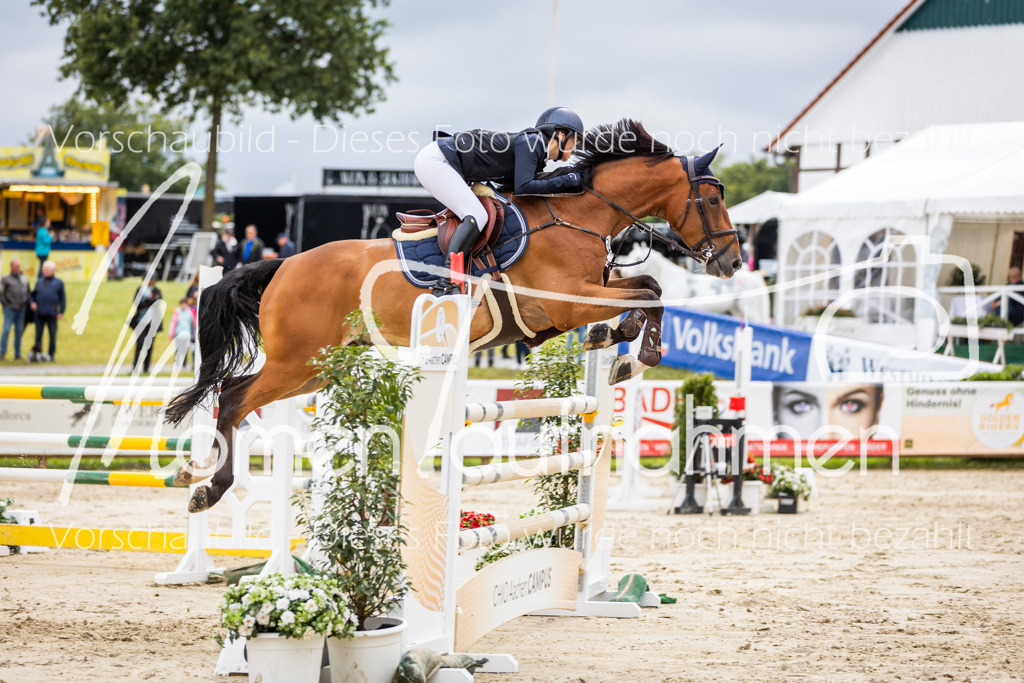 BHO-2PhSpr-M-5-2416 | MomenTaufnahmen Pferdesportfotos