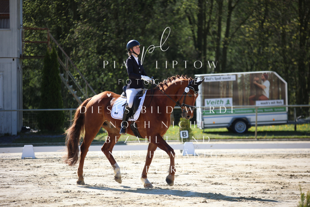 IMGT9378 | pl-fotografie