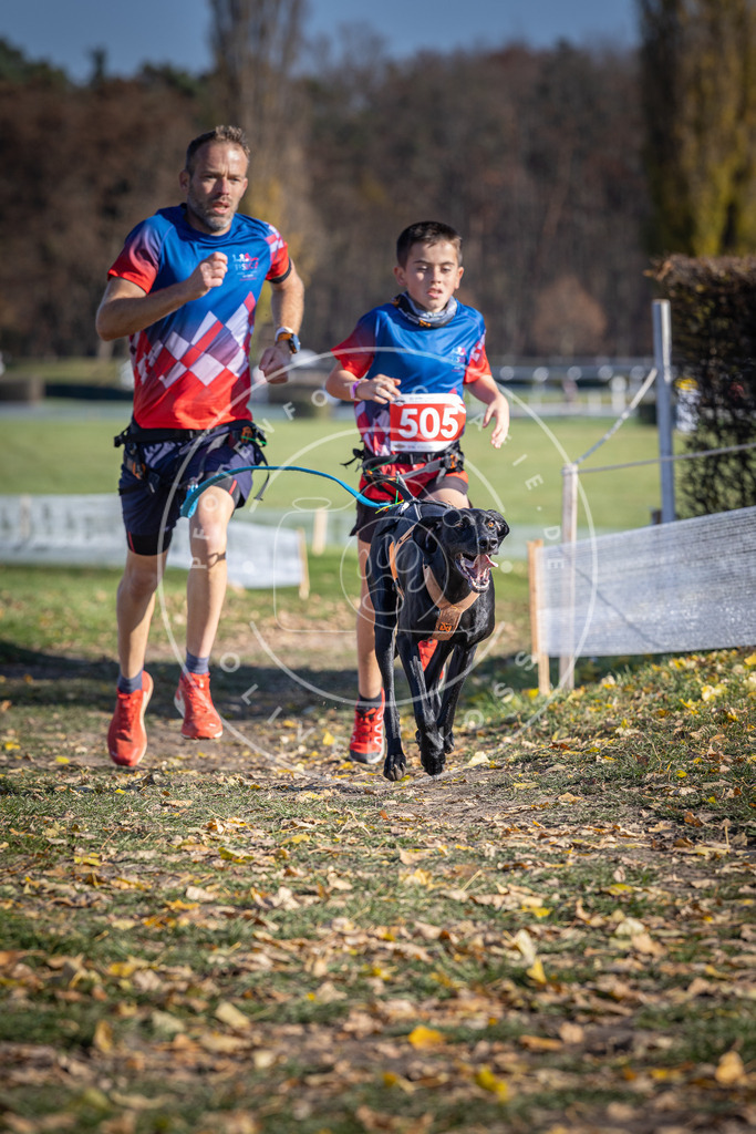 CaniXpix_DV3A7877 | Hundefotografie, Tierfotograf, Pfotenfotografie, Fotoshooting Hund, Hunde Portrait, Hundesport, Hundeportraits, Heideshooting, Hunde, Sportfotograf, Hundefotograf, Turnierhundsport, THS,  - Realisiert mit Pictrs.com