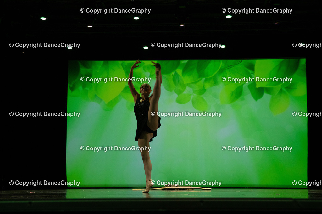 GPHY6839 | DanceGraphy - Realisiert mit Pictrs.com