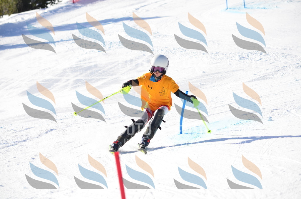 C6148 | holidayphoto