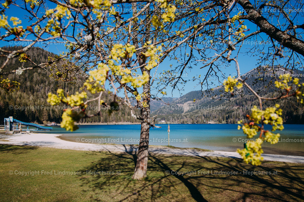 Fruehling im Mariazellerland 230402020-29230 | Fotos und Fotoprodukte - Realisiert mit Pictrs.com