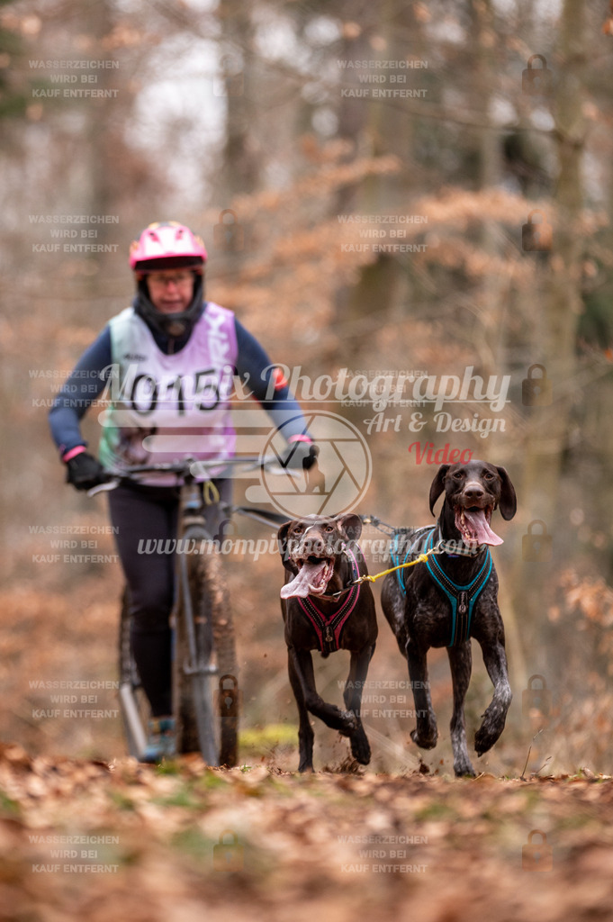 AKM_ST_2023_SAM_DS2-13 | PayLife