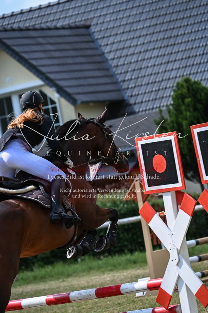 DSC_8496 | Pferde- und Turnierfotografie in Westsachsen. Pferdeportraits, Auftragszeichnungen und intuitive Kunst.