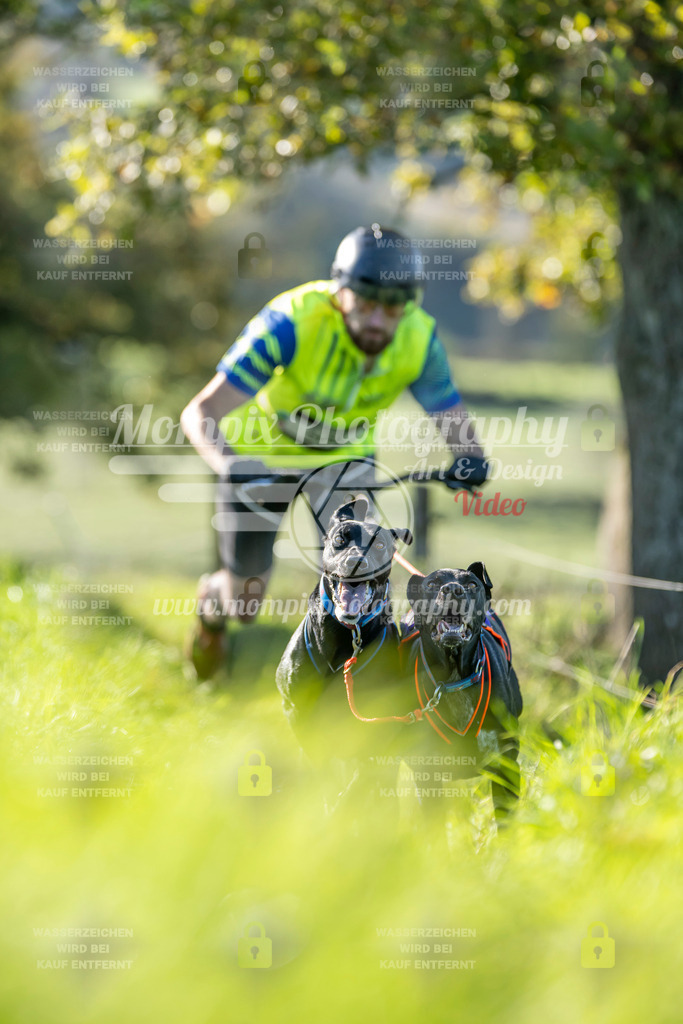 MompixPhotography_20TSB_E3_DS2-6 | PayLife
