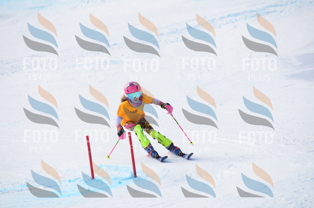 C7879 | holidayphoto