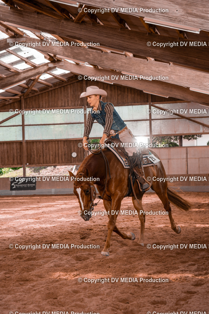 NE200512 | dv-media-shop - Realisiert mit Pictrs.com