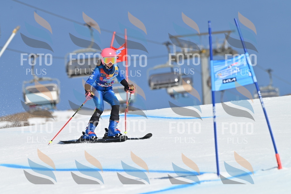 BGV_8219 | holidayphoto