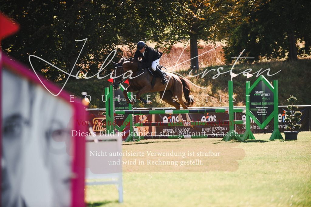 DSC_2485 | Pferde- und Turnierfotografie in Westsachsen. Pferdeportraits, Auftragszeichnungen und intuitive Kunst.