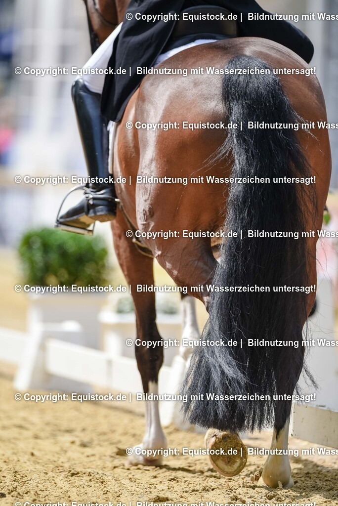 20250607_1_GP-Tour_Dressage_0185 | Foto: Thomas Hartig