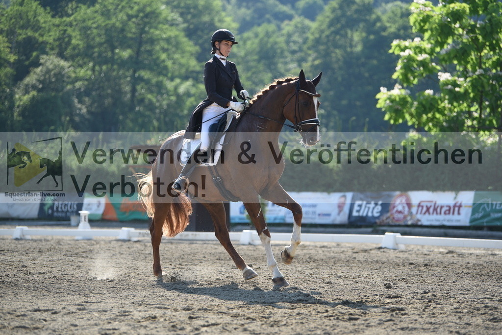 DSC_2879 | equestrian-live-com