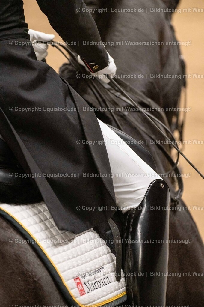 20260307_Hengstvorstellung-Marbach_0486 | equistock