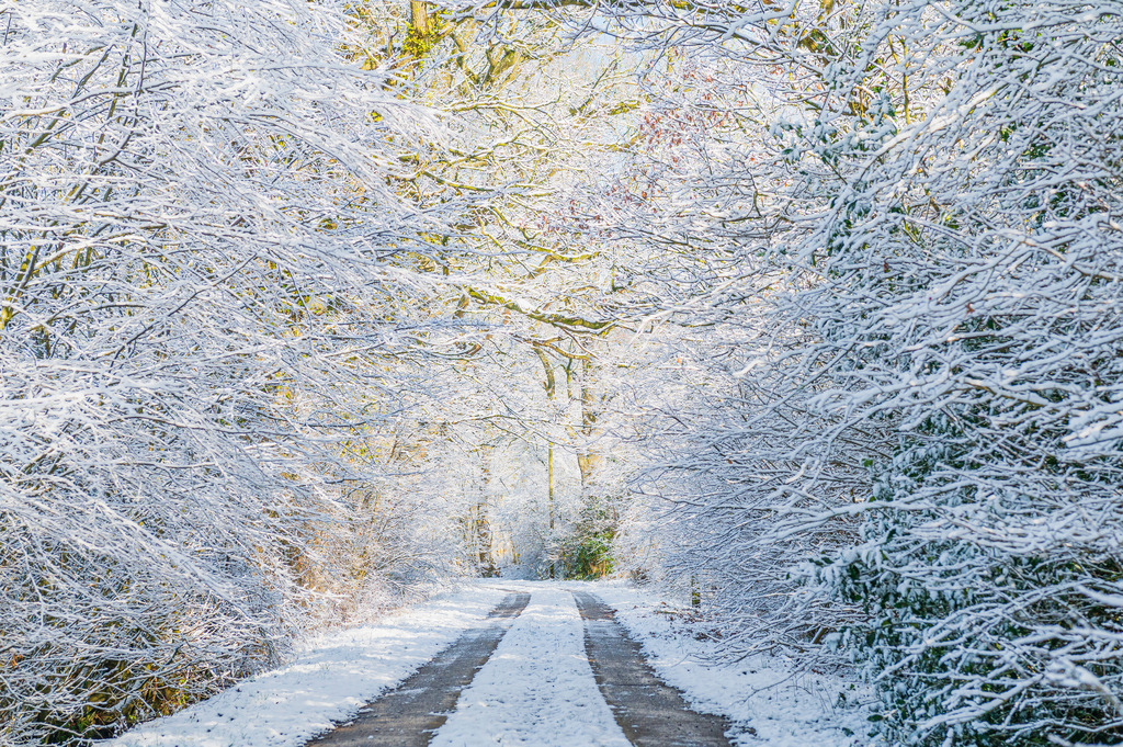 2023_03_11_MCP7182 | Hochwertig gedruckte Fotografien für die Wand, als Kalender und zum Verschenken. Hamburg & Norddeutschland und überall wo ich mit der Kamera unterwegs war.