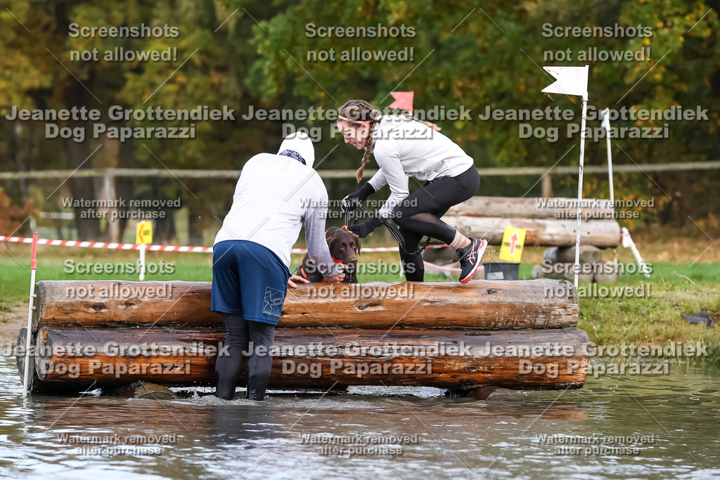 Dog Paparazzi - Strongdog 10-25-6798 | Dog Paparazzi Jeanette Grottendiek Fotografie & Videografie - Realisiert mit Pictrs.com