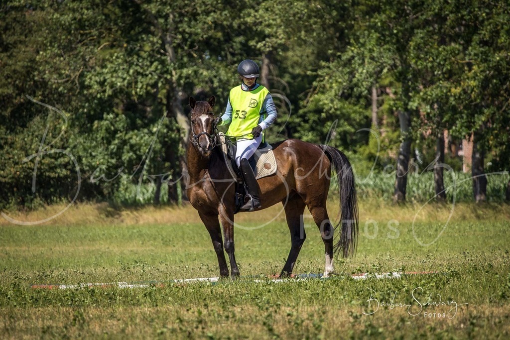 CJP_2026-06-26_141 | Stimmungsvolle Fotografie von Pferden, fotografische Begleitung von Veranstaltungen, Golfturnieren und Distanzritten - Realisiert mit Pictrs.com
