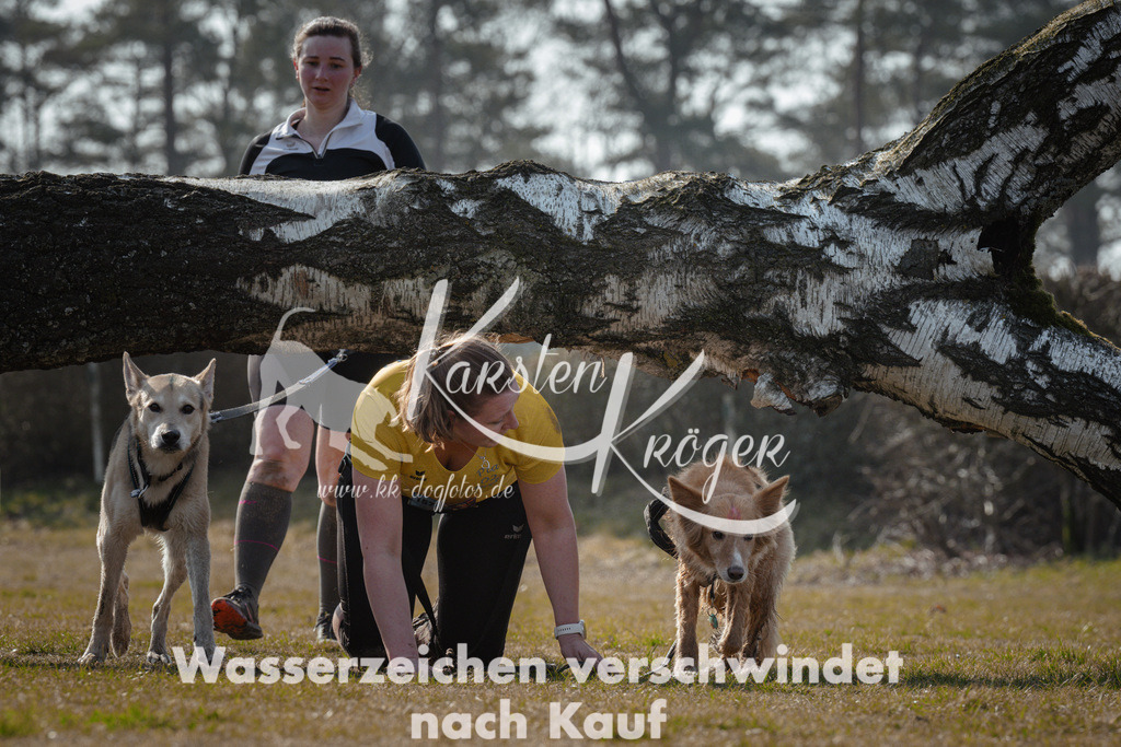 1129_ZZ95349 | kk-dogfotos