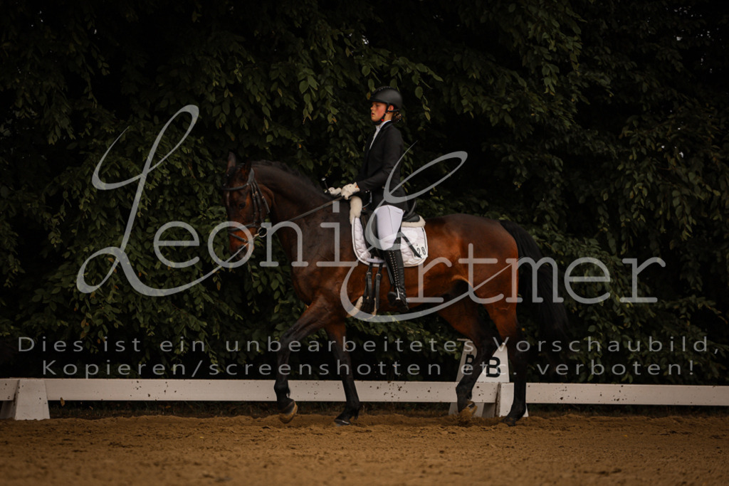 DoDrE00069 | Leoni Ertmer Photography - Realisiert mit Pictrs.com