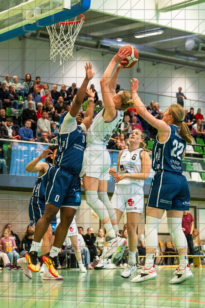2. DBBL Nord 25/26 | PlayOff 1/4-Finale Spiel 1 | BBC Osnabrück vs. USC Bascats Heidelberg | 19.04.26: 2. DBBL Nord 25/26 | PlayOff 1/4-Finale Spiel 1 | BBC Osnabrück vs. USC Bascats Heidelberg / Osnabrück / Deutschland  //   CREDIT:www.bullenfotos.de, Martin König, Hörner Weg 40, D-49078 Osnabrück, +4917663732967 // Nutzung und Weitergabe nur zu den vereinbarten Zwecken. Presseanfragen an Ersteller. Alle Rechte beim Ersteller. Honorierung nach MFM. - Realisiert mit Pictrs.com