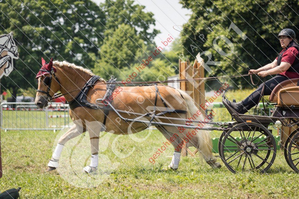 IMG_8462 | Sport-, Event- und Tierfotos in Profiqualität. Einfach auswählen, bestellen und herunterladen. Dein Moment – perfekt festgehalten.