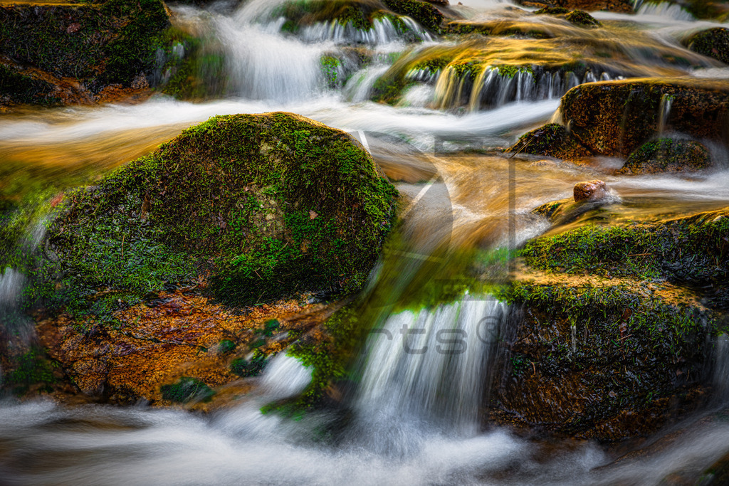 Allerheiligen Wasserfälle | Diese Wasserfälle gehören zu den größten und schönsten im Schwarzwald. Man fühlt sich fast wie im Hochgebirge Österreichs oder der Schweiz. Der 1840 erschlossene Wasserfall fällt über mehrere Ebenen knapp 90 Meter in die Tiefe während Wanderer ihn auf seinem Weg auf Pfaden, Treppen und über Brücken hinweg begleiten können. - Realisiert mit Pictrs.com
