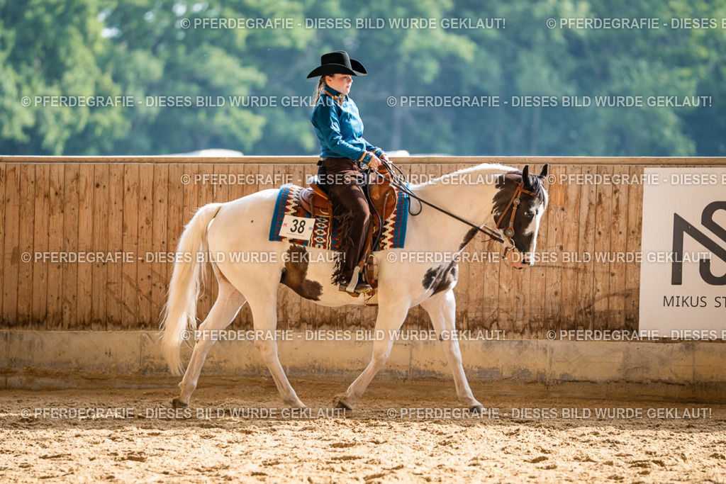 DSC08020 | Pferdegrafie