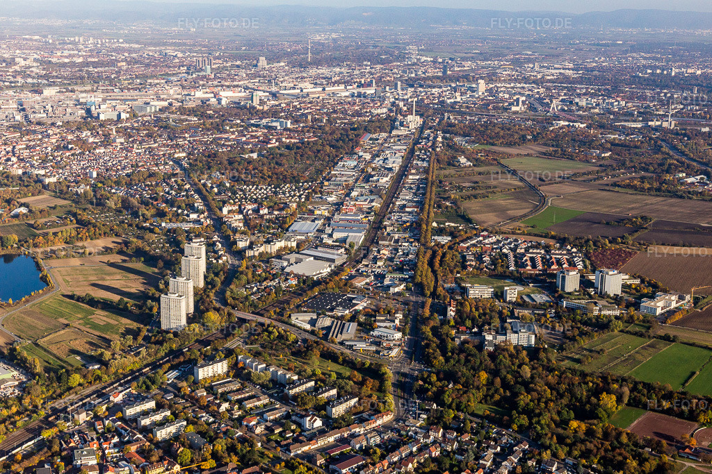 Luftbild: Industriestr im Ortsteil Friesenheim in Ludwigshafen im Bundesland Rheinland-Pfalz in Deutschland. Foto: IMG_095558.jpg vom 30.10.2016 durch Werner Riehm/FLY-FOTO.de