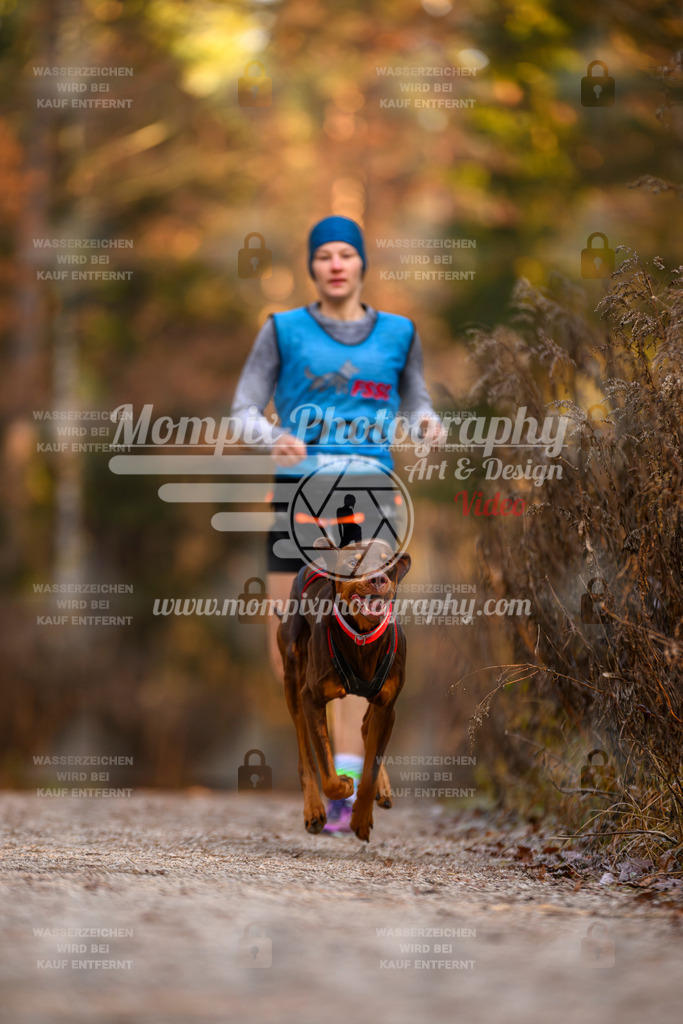 MompixPhotography_DM_AKDM_SO_2025_-38 | PayLife