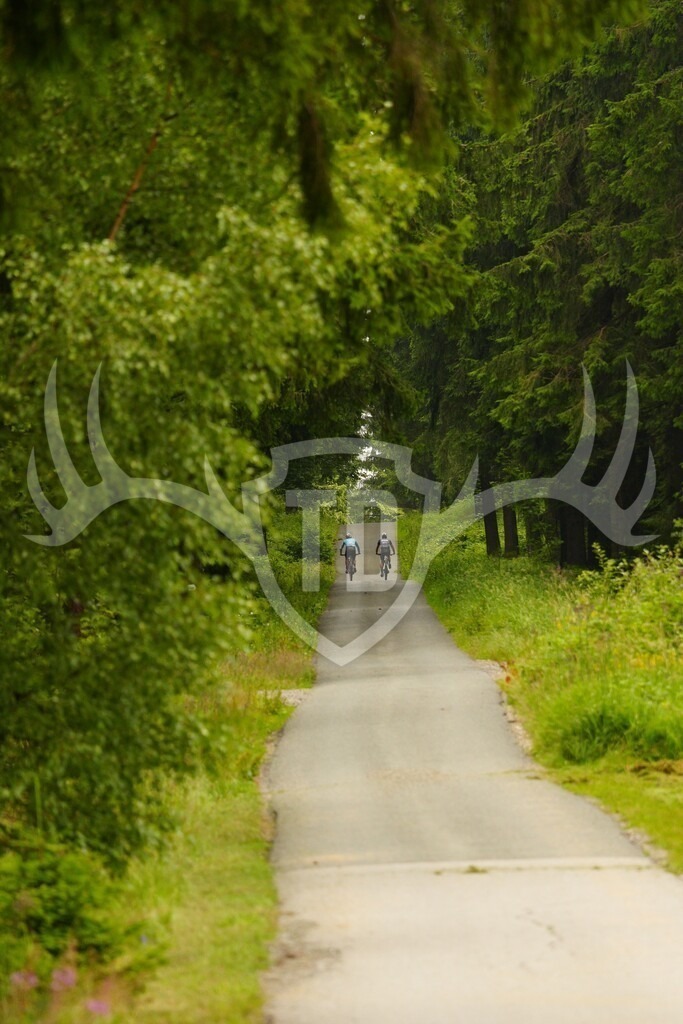 Image00381 | Fotogalerie der Treibjagd im Dunkelwald - Dein MTB Etappenrennen im Erzgebirge - Realisiert mit Pictrs.com