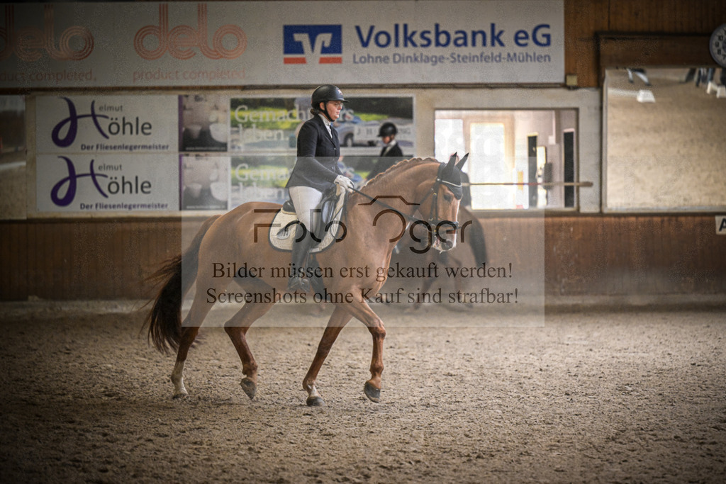 DOS_0560 | Entdecke hochwertige Reitturnierfotos von Foto Oger. Professionell, emotional und authentisch – jetzt Lieblingsmomente im Shop bestellen.Deutschlandweite Turnierfotografie. - Realisiert mit Pictrs.com