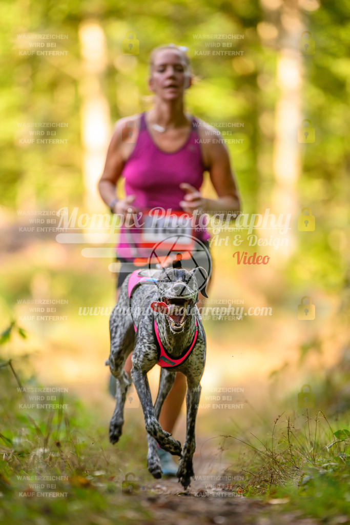 MompixPhotography_Yens2025_B3-206 | PayLife