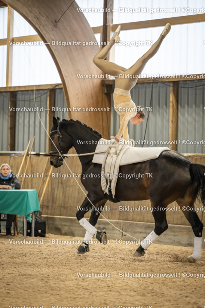 _D5A1871 | Emotionale Pferde- & People-Fotografie rund um Heidelberg, Leimen & Umgebung. Natürliche Fotos von Pferd, Mensch & Familie. Jetzt Termin sichern!