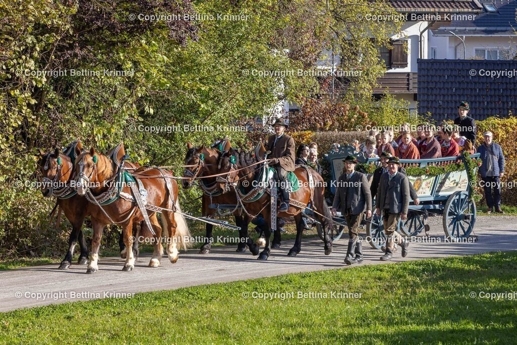 LBT24-342 | foto-bettina-krinner - Realisiert mit Pictrs.com