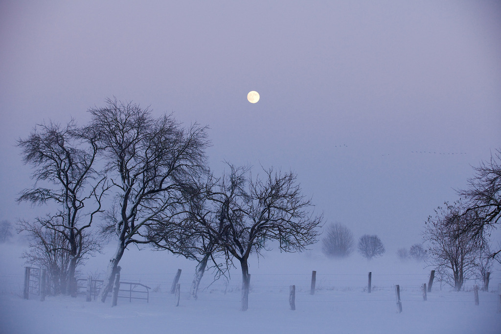101220-182 | Europa, DEU, Deutschland, Nordrhein Westfalen, NRW, Rheinland, Niederrhein, Xanten, Naturschutzgebiet Xantener Altrhein, Bislicher Insel, Winter, Schnee, Baeume, Obstbaeume, Abenddaemmerung, Mond, Mondaufgang, Kategorien und Themen, Natur, Umwelt, Landschaft, Jahreszeiten, Stimmungen, Landschaftsfotografie, Landschaften, Landschaftsphoto, Landschaftsphotographie, Wetter, Wetterelemente, Wetterlage, Wetterkunde, Witterung, Witterungsbedingungen, Wettererscheinungen, Meteorologie, Wettervorhersage....[Fuer die Nutzung gelten die jeweils gueltigen Allgemeinen Liefer-und Geschaeftsbedingungen. Nutzung nur gegen Verwendungsmeldung und Nachweis. Download der AGB unter http://www.image-box.com oder werden auf Anfrage zugesendet. Freigabe ist vorher erforderlich. Jede Nutzung des Fotos ist honorarpflichtig gemaess derzeit gueltiger MFM Liste - Kontakt, Uwe Schmid-Fotografie, Duisburg, Tel. (+49).2065.677997, ..archiv@image-box.com, www.image-box.com] - Realisiert mit Pictrs.com