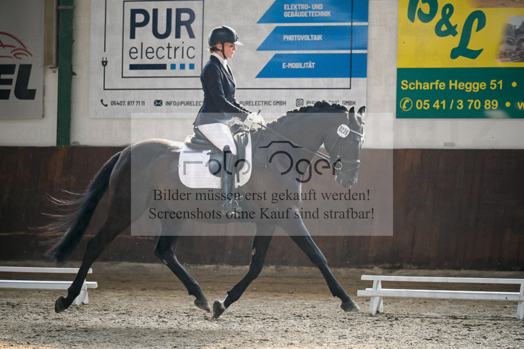 Reitturnier Voxtrup | Entdecke hochwertige Reitturnierfotos von Foto Oger. Professionell, emotional und authentisch – jetzt Lieblingsmomente im Shop bestellen.Deutschlandweite Turnierfotografie. - Realisiert mit Pictrs.com