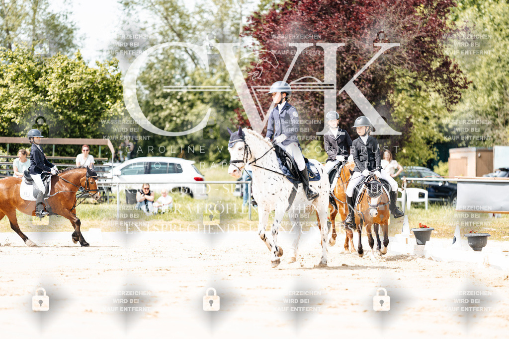 CK901722 | Turnierfotografie Pferdefotografie Trier Rheinland-Pfalz Pferdesport Reitsport Tierfotografie Sportfotografie Pferdevideo Pferdevideografie Equestrianvideography equestrianphotography  - Realisiert mit Pictrs.com