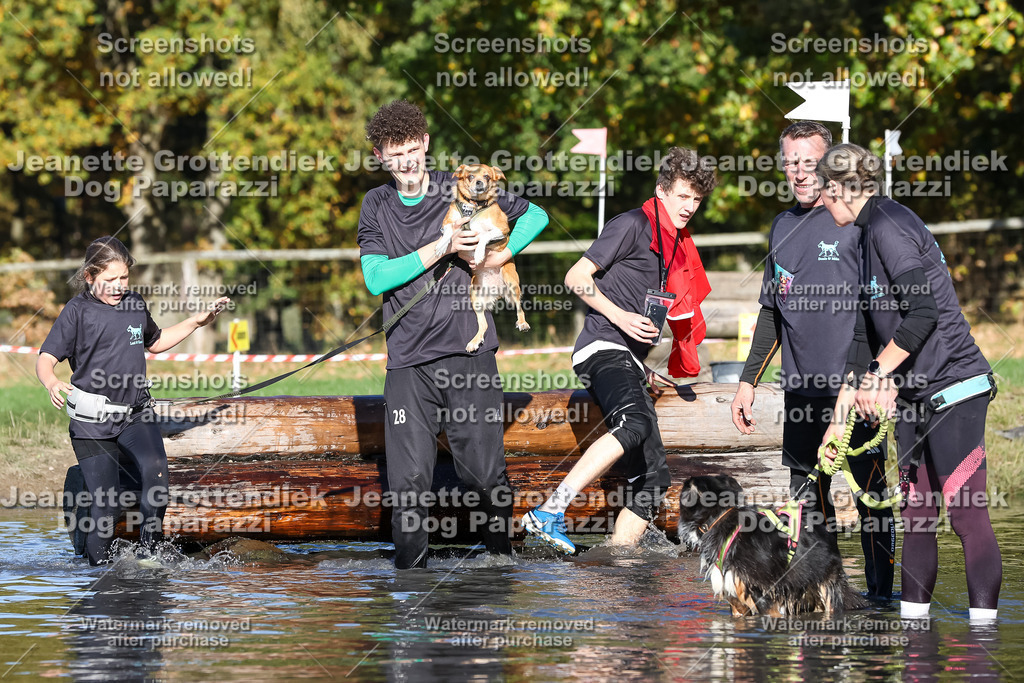 Dog Paparazzi - Strongdog 10-25-8955 | Dog Paparazzi Jeanette Grottendiek Fotografie & Videografie - Realisiert mit Pictrs.com