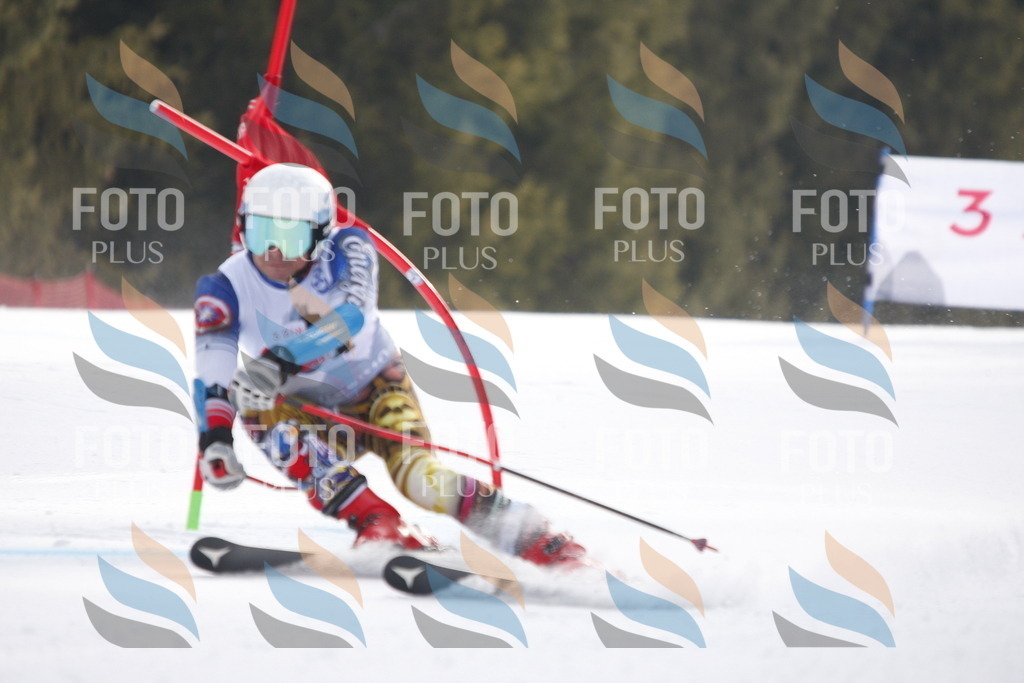 D6510 | holidayphoto