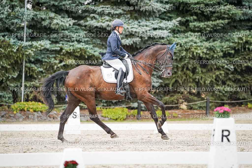 DSC09590 | Pferdegrafie