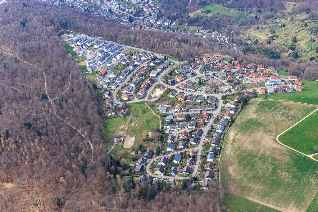 Luftbild: Ortsansicht von Osten im Ortsteil Grenzach in Grenzach-Wyhlen im Bundesland Baden-Württemberg in Deutschland. Foto: IMG_120218.jpg vom 17.03.2020 durch Werner Riehm/FLY-FOTO.de