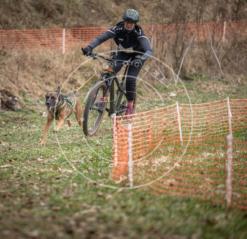 Pfotenfotografie_DV3A6239 | Hundefotografie, Tierfotograf, Pfotenfotografie, Fotoshooting Hund, Hunde Portrait, Hundesport, Hundeportraits, Heideshooting, Hunde, Sportfotograf, Hundefotograf, Turnierhundsport, THS,  - Realisiert mit Pictrs.com