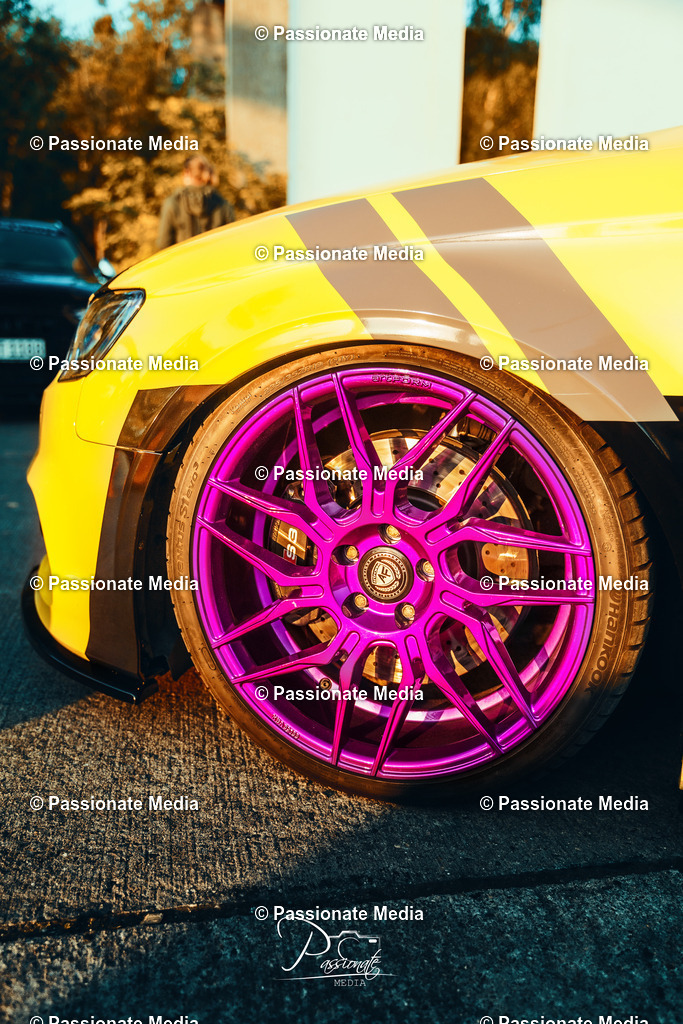 DSC00204 | Passionate Media, dein Fotograf aus Brandenburg, Märkisch Oderland, im Bereich Motorsport, Autos und Motorräder sowie Events und auch Hunde. Shootings oder auch Eventbegleitungen können bei mir gebucht we