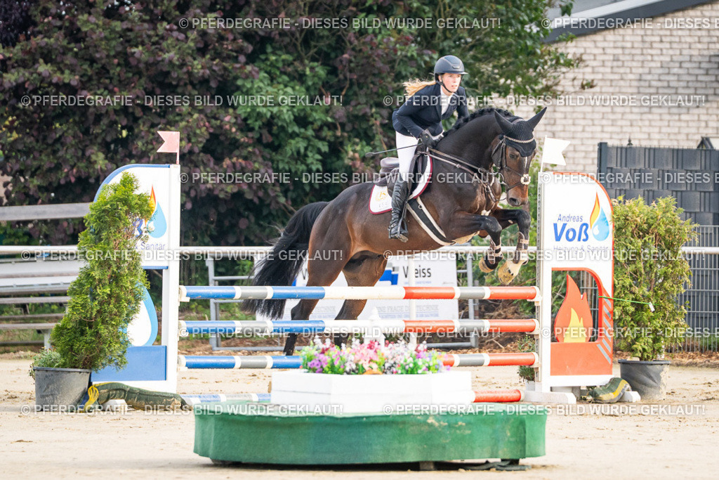 DSC07743 | Pferdegrafie