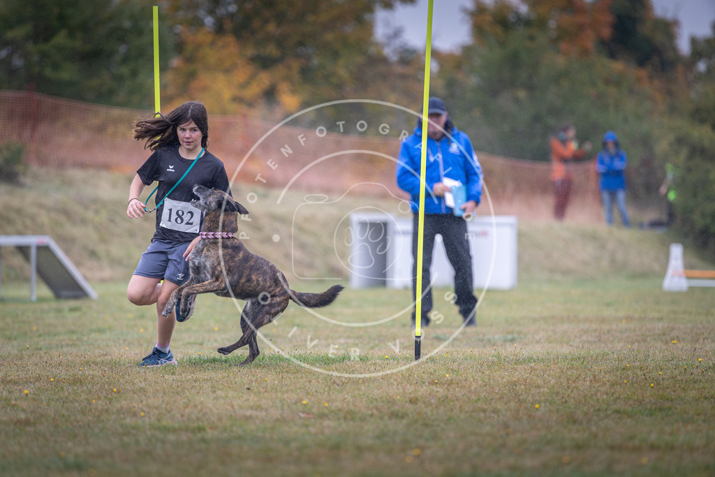 Pfotenfotografie_DV3A9969 | Hundefotografie, Tierfotograf, Pfotenfotografie, Fotoshooting Hund, Hunde Portrait, Hundesport, Hundeportraits, Heideshooting, Hunde, Sportfotograf, Hundefotograf, Turnierhundsport, THS,  - Realisiert mit Pictrs.com