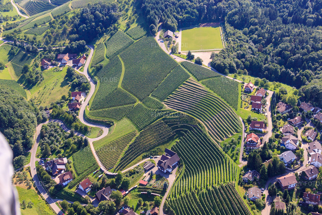 Luftbild: Weinbergsteilhänge am Büchelbach im Ortsteil Büchelbach in Sasbachwalden im Bundesland Baden-Württemberg in Deutschland. Foto: IMG_31489.jpg vom 09.08.2010 durch Werner Riehm/FLY-FOTO.de