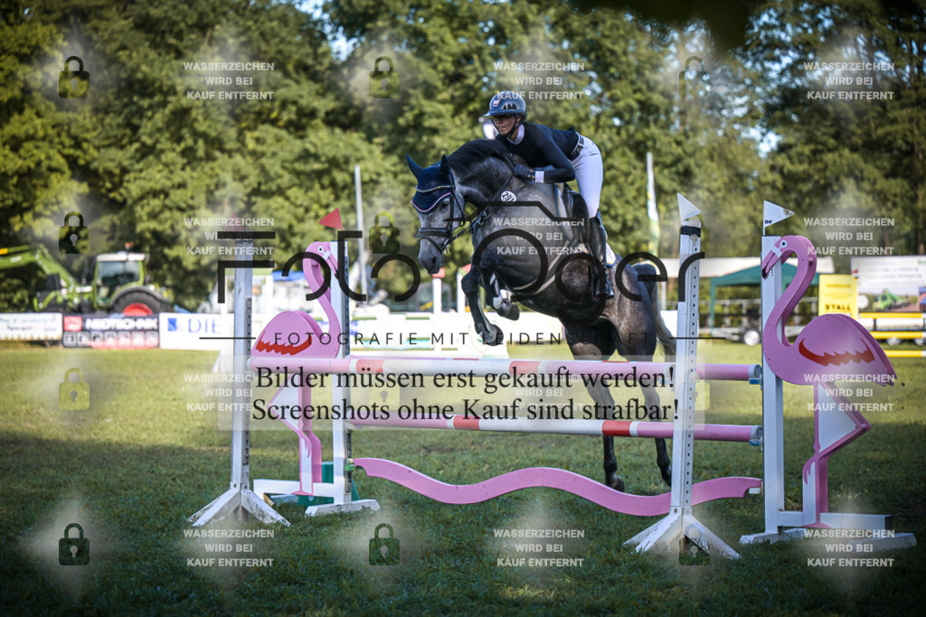 DOS_0775 | Entdecke hochwertige Reitturnierfotos von Foto Oger. Professionell, emotional und authentisch – jetzt Lieblingsmomente im Shop bestellen.Deutschlandweite Turnierfotografie. - Realisiert mit Pictrs.com