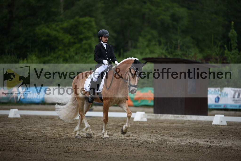 DSC_7925 | equestrian-live-com
