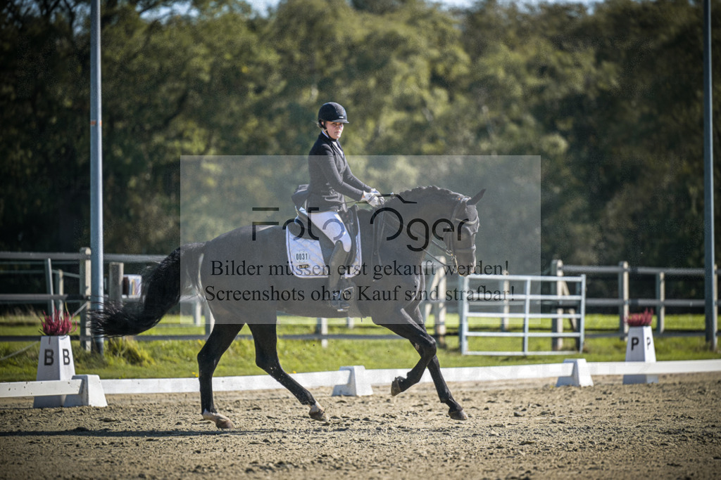 DOS_2193 | Entdecke hochwertige Reitturnierfotos von Foto Oger. Professionell, emotional und authentisch – jetzt Lieblingsmomente im Shop bestellen.Deutschlandweite Turnierfotografie. - Realisiert mit Pictrs.com