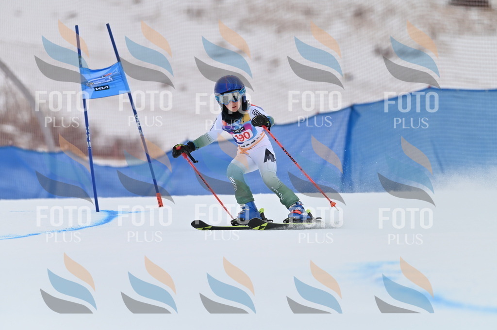 BGV_1418 | holidayphoto